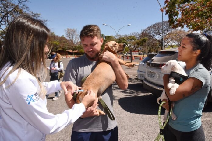 Vacinação antirrábica gratuita estará disponível neste sábado (31) cachorro