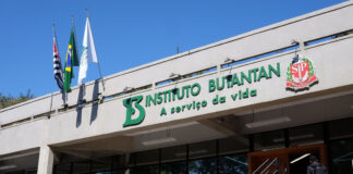 Butantan recruta idosos para testar nova vacina contra a gripe em ensaio clínico nacional