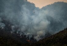 Incêndios florestais no DF: prevenção e canais para denúncia