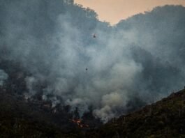Amazonas registra 540 focos de incêndio em dois dias e mobiliza força-tarefa