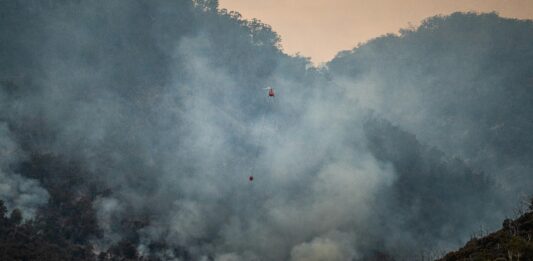 Incêndios florestais no DF: prevenção e canais para denúncia