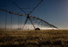 Contaminação por agrotóxicos no Brasil expõe desigualdades e ameaça populações vulneráveis