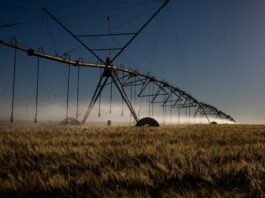 Contaminação por agrotóxicos no Brasil expõe desigualdades e ameaça populações vulneráveis