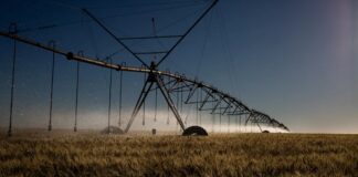 Contaminação por agrotóxicos no Brasil expõe desigualdades e ameaça populações vulneráveis