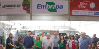 Festa do Morango movimenta a economia de Brazlândia com comercialização