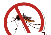 GDF mobiliza esforços no Dia D Contra a Dengue