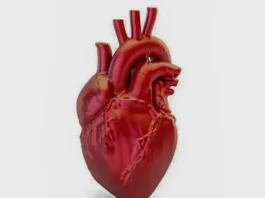 Brasil registra uma morte por doença cardiovascular a cada 72 segundos, aponta SBC
