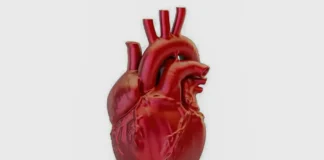 Brasil registra uma morte por doença cardiovascular a cada 72 segundos, aponta SBC
