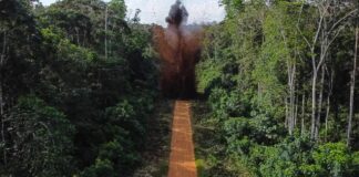 Forças Armadas destroem pista de pouso clandestina na Terra Yanomami