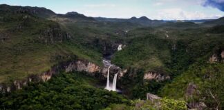 Incêndio florestal fecha Parque Nacional da Chapada dos Veadeiros