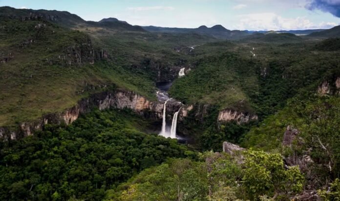 Incêndio florestal fecha Parque Nacional da Chapada dos Veadeiros mundo