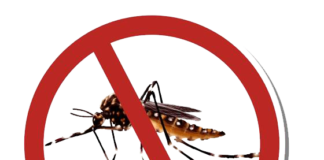 Fiocruz e GDF unidos no combate à dengue em Sol Nascente