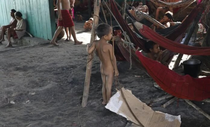 Censo 2022 revela precariedades na alfabetização e habitação da população indígena no Brasil mundo