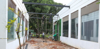 Reforma do Museu de Ciências Naturais do Zoológico de Brasília entra na fase final