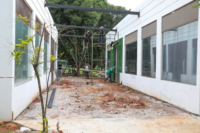 Reforma do Museu de Ciências Naturais do Zoológico de Brasília entra na fase final brasilia