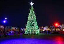 Último fim de semana do ano promete diversão e cultura no DF