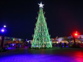 Último fim de semana do ano promete diversão e cultura no DF