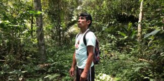 Manaus recebe a 3ª edição do TEDxAmazônia com foco na ancestralidade