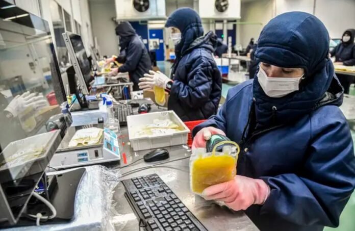 Hemobrás bate recorde na coleta de plasma e projeta avanços para 2025 saude