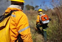 Fórum do GDF vai traçar estratégias contra incêndios florestais para 2026