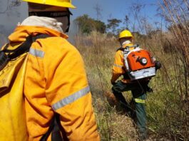 Fórum do GDF vai traçar estratégias contra incêndios florestais para 2026