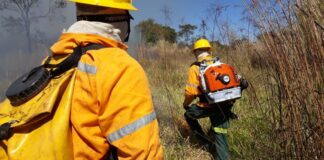 Brasília Ambiental destaca investimentos na brigada florestal em 2024
