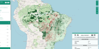 Brasil tem 95 milhões de hectares à espera de restauração