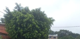 Ponte do Bananal é reaberta após ação conjunta do GDF