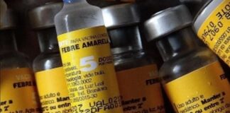 Nova terapia com plasma aumenta chances de sobrevivência à febre amarela, aponta estudo