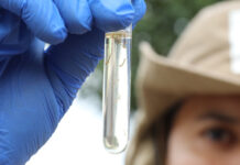 DF registrou redução de 96% nos casos prováveis de dengue em 2025