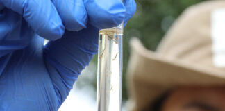 DF registrou redução de 96% nos casos prováveis de dengue em 2025