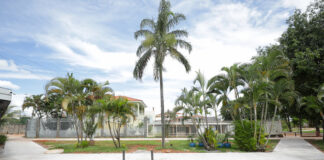 Novas calçadas levam mais acessibilidade e conforto para moradores do Guará