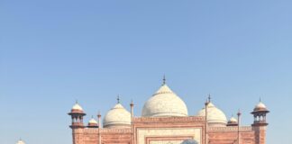 Dra. Zeli destaca liderança de Ronaldo Caiado e avanços de Goiás durante missão na Índia