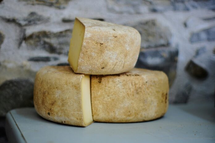 Comissão para fomentar mercado do queijo no DF discute soluções para ajudar produtores brasilia
