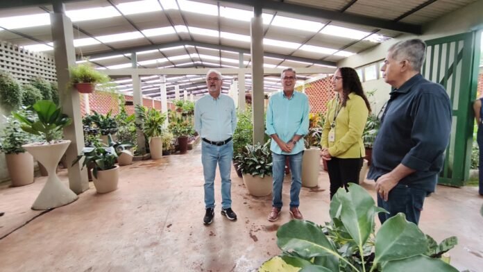 Novacap e TJDFT juntos pela arborização do DF