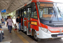 Zebrinhas ampliam integração e registram mais de 21 mil acessos diários no DF