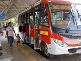 Zebrinhas ampliam integração e registram mais de 21 mil acessos diários no DF