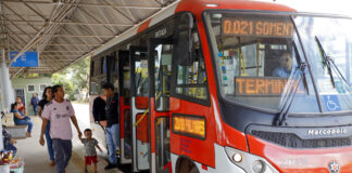 Zebrinhas ampliam integração e registram mais de 21 mil acessos diários no DF