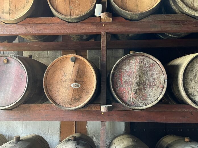 Cachaça artesanal cresce no DF: microempresa da Fercal ganha destaque nacional economia