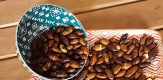 Da natureza para o sustento: a força das sementes no coração do Xingu