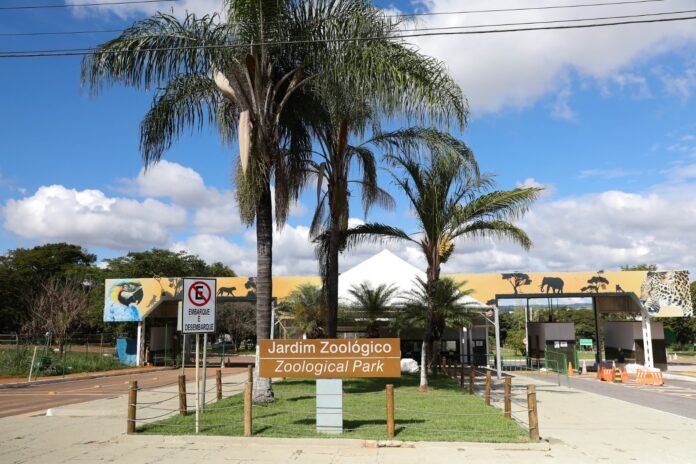 Zoológico de Brasília reabrirá ao público na próxima segunda-feira (7) brasilia