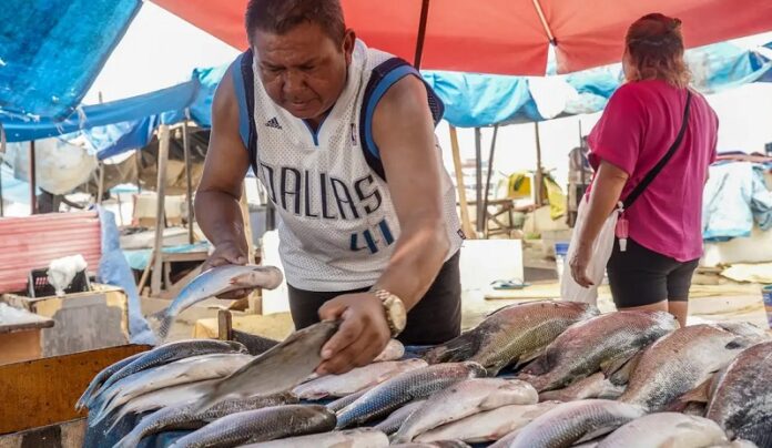 Produtores brasileiros pressionam governo por resposta à tarifa de 50% imposta pelos EUA economia venda comercio comida peixe feira
