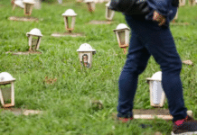 Mais de 600 mil pessoas devem visitar cemitérios no feriado de Finados