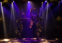 Sesc-DF agita fim de semana com cultura e humor