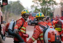 Floresta Nacional de Brasília – FLONA