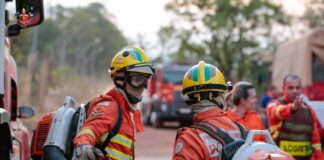 Floresta Nacional de Brasília – FLONA