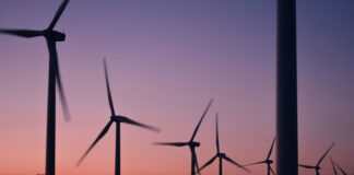 Investimentos em ações climáticas no Brasil mais que dobram e atingem US$ 67,8 bilhões em 2023