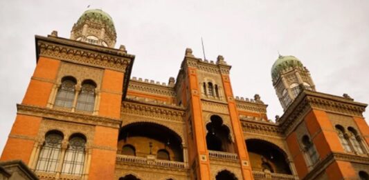 Fiocruz obtém patente nos EUA para método promissor contra malária resistente
