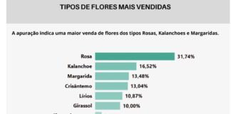 Comércio de flores do DF está otimista com as vendas para o Dia de Finados