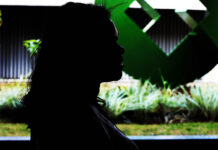 CLDF dá voz à luta contra a violência feminina